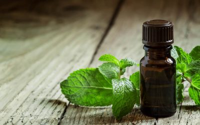 Why you need more peppermint oil in your life!
