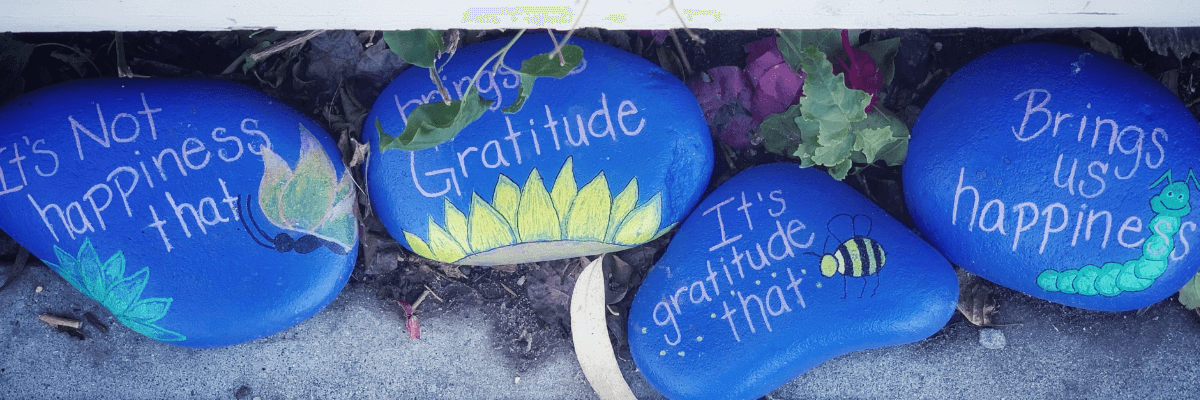 Why gratitude builds fortitude - Suzy Glaskie
